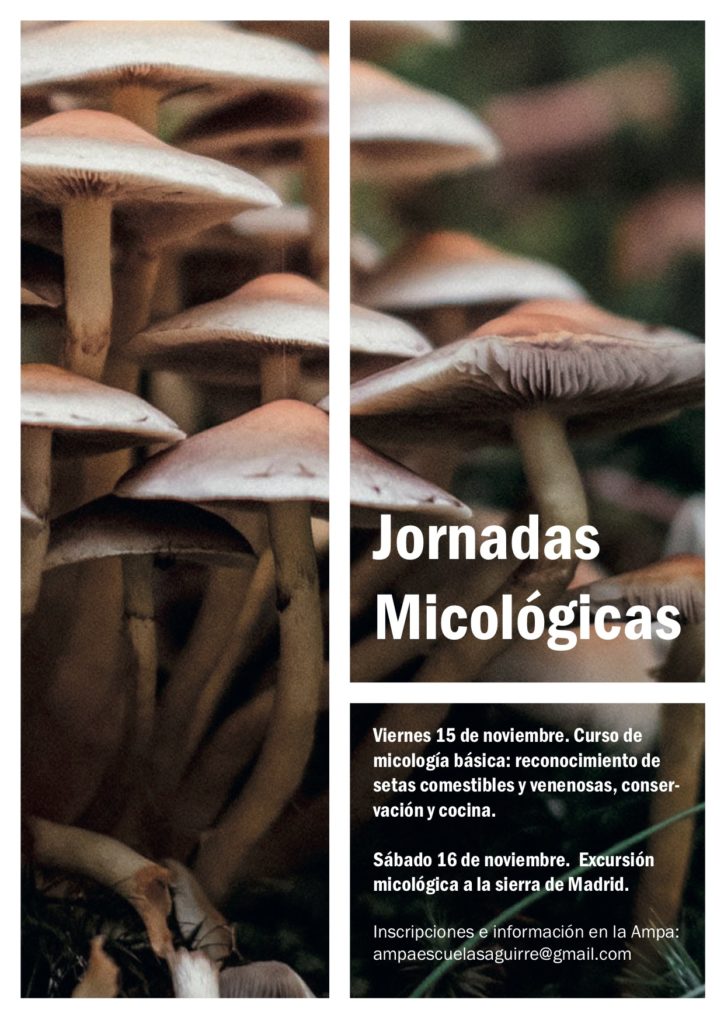 Jornadas micológicas noviembre 2019